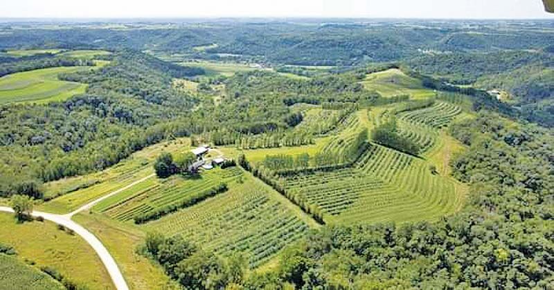 hoch orchard and garden